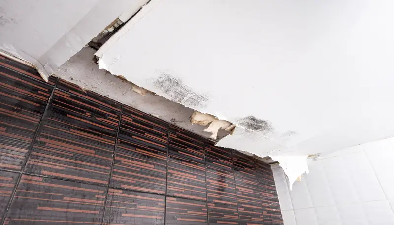 Restoring Homes with Water Damage Repair Service in Omaha, NE