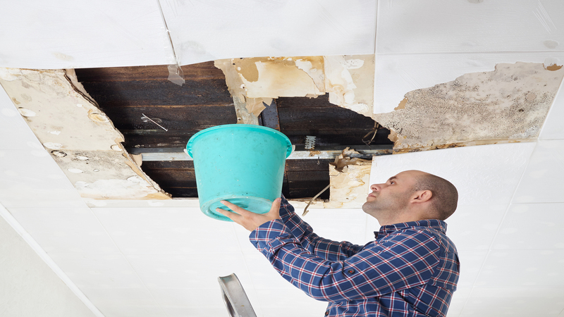 Water Damage Repair Service in Omaha, NE: Protecting Your Home