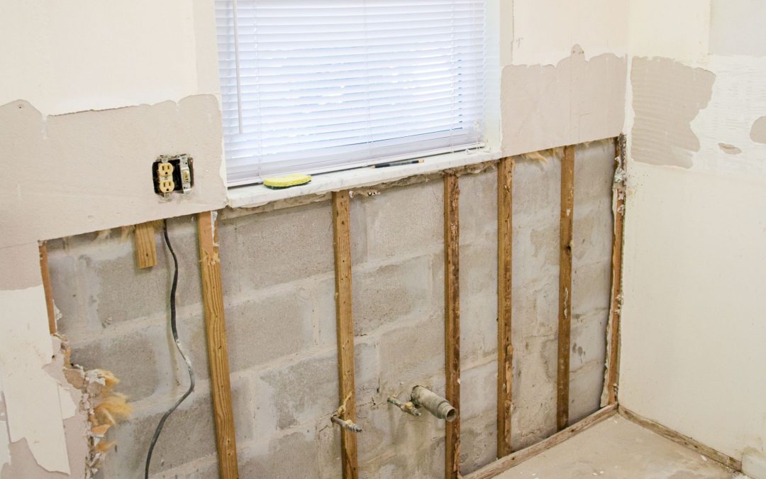 Battling Mold with Mold Remediation in Council Bluffs, IA