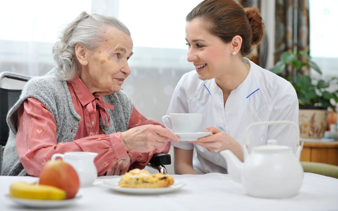 Enhancing Living Standards: Exploring Senior Home Care Options near Livonia, MI