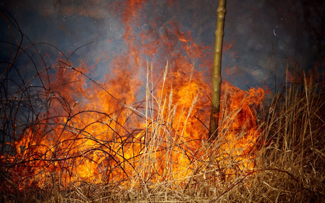 Restoring Hope: Comprehensive Fire Damage Service in Saunders County, NE