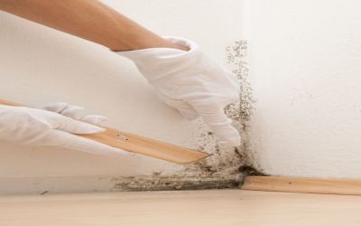 Water Damage Restoration Procedures in Omaha, NE: An In-depth Guide for Homeowners