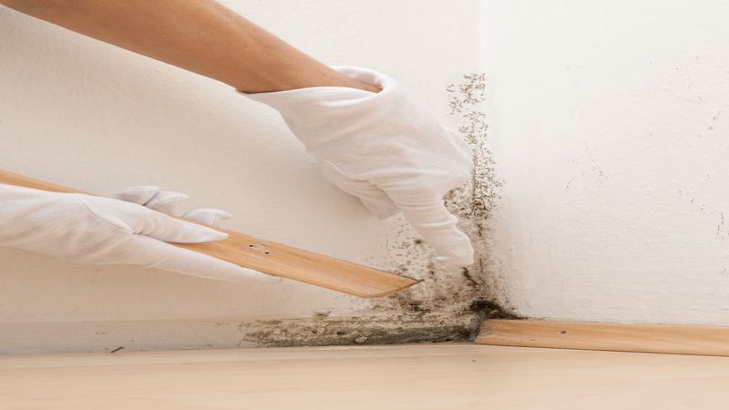 Expert Water Damage Restoration in Omaha, NE: Safeguarding Your Home and Health