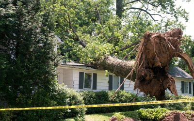 Effective Solutions for Storm Damage Cleanup in Saunders County, NE