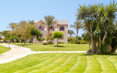 Transform Your Lawn: The Advantages of Residential Turf Installation in Houston