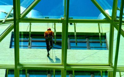 Why Residential Window Cleaning in Whitby is Essential for Your Home