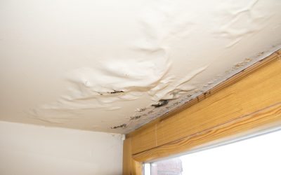 Comprehensive Guide to Expert Water Damage Restoration Procedures in Omaha, NE