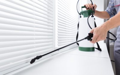 Expert Pest Control Services in Auburn, IN: Safeguarding Your Home And Health