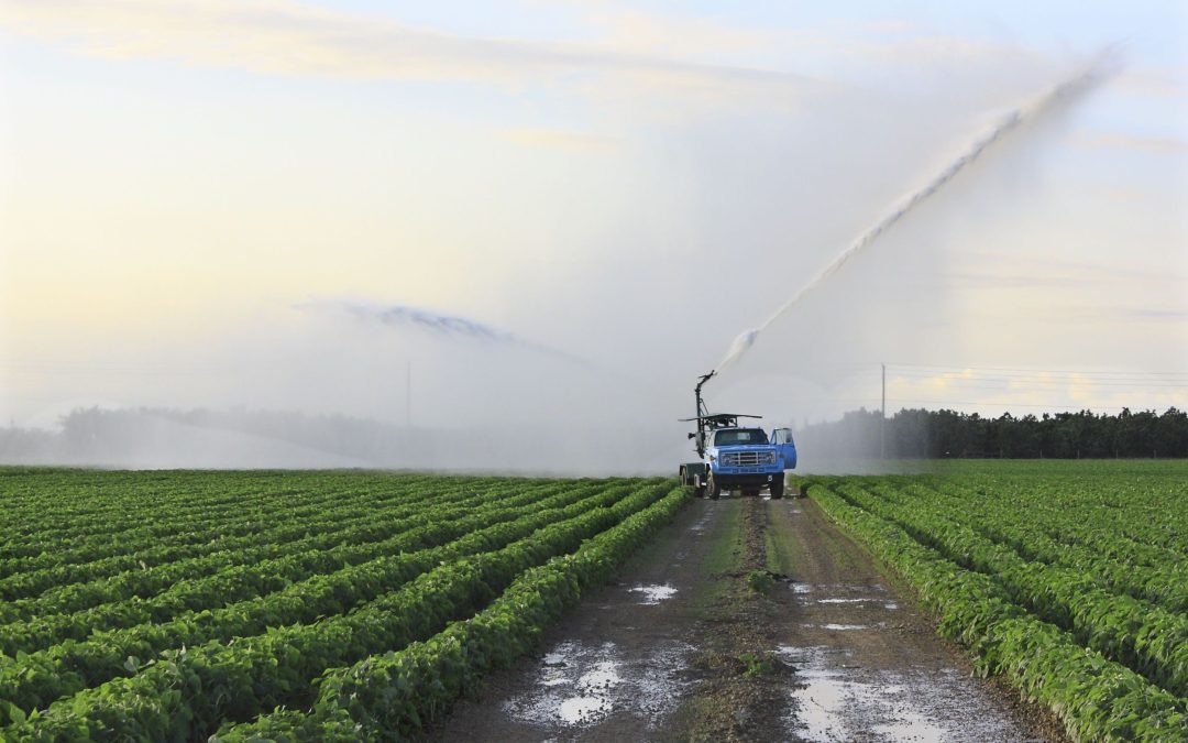 Sowing the Seeds of Tomorrow: Herbicide Crop Spraying in Decatur, IL as a Catalyst for Change