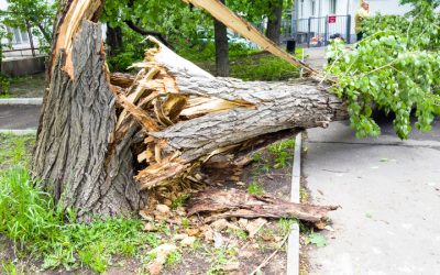 Resilient Recovery: Comprehensive Storm Damage Restoration in Saunders County, NE