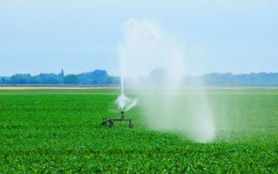 Mastering Irrigation Repair Austin: Essential Tips for a Lush Lawn