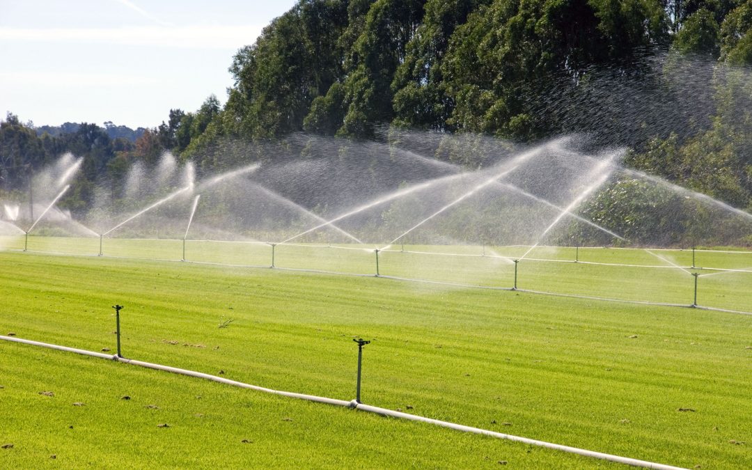 Simple Ways Sprinkler Maintenance Round Rock Ensures a Lush Lawn All Summer Long