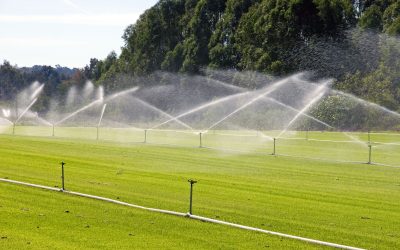 Simple Ways Sprinkler Maintenance Round Rock Ensures a Lush Lawn All Summer Long