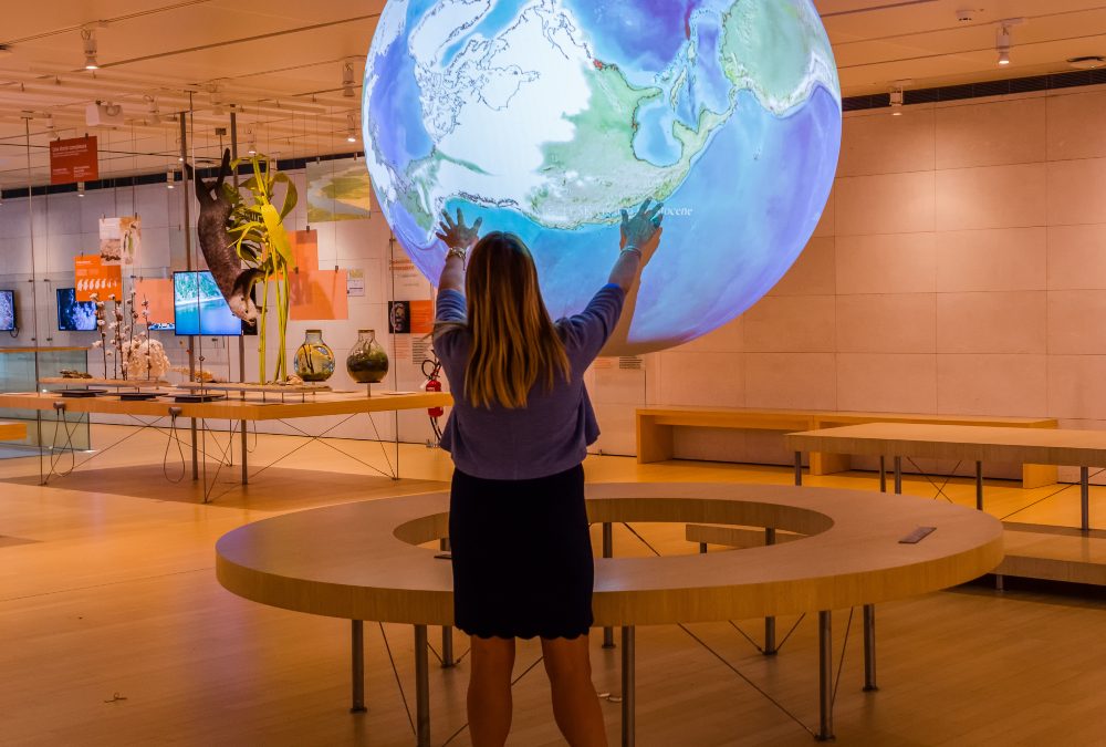 Why Museum Lighting Products San Francisco CA Are Essential for Art Preservation