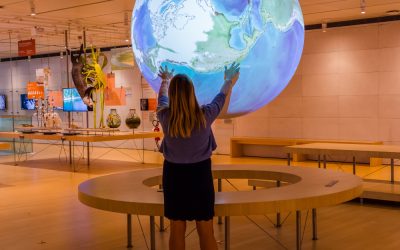 Why Museum Lighting Products San Francisco CA Are Essential for Art Preservation