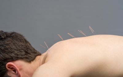 Secure your professional growth by meeting acupuncture continuing education Texas requirements.