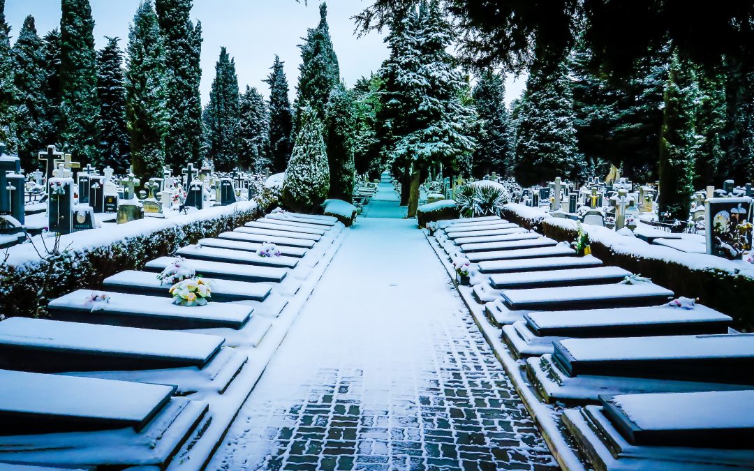What Families Appreciate About Compassionate Cremation Service Antioch Solutions