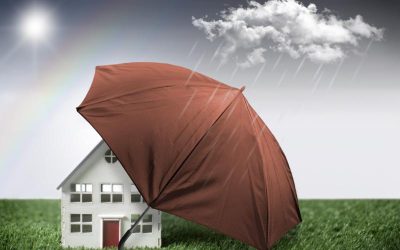 The Benefits of Using a Timeshare Exit Service for Hassle-Free Cancellation