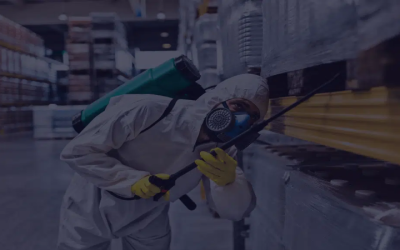 Protect Your Home From Infestations With Local Pest Control In Peachtree City, GA Experts