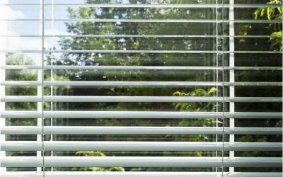 Stylish Solutions for Light Control Using Window Shutters Tarpon Springs FL